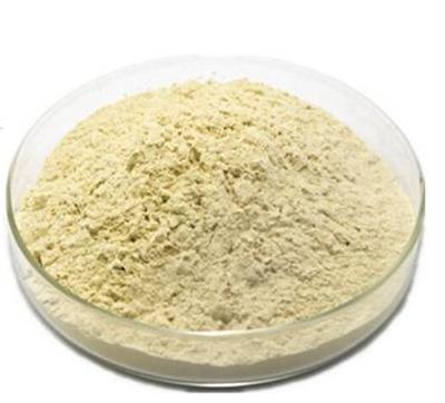 常規(guī)產(chǎn)品